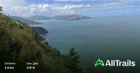 black jack track timing|Black Jack Loop, Marlborough, New Zealand .